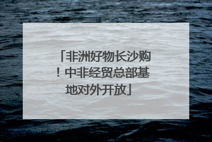 非洲好物长沙购！中非经贸总部基地对外开放